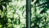 Fototapeta Dziecięca - beautiful bamboo green fresh forest branches. Asian nature, Japanese jungle, bamboo trees stems. Close up, macro view.