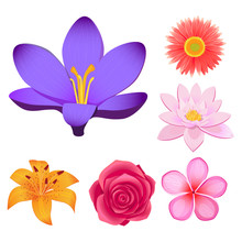 Gorgeous Flower Buds Isolated Illustrations Set