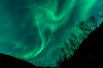 Wall Mural - Amazing Aurora Borealis in North Norway above Tromsdalstinden mountain, Tromso City,