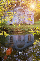 Wall Mural - bright autumn tree in park