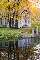Wall Mural - river in the autumn park