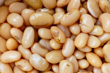 Cooked Beans Closeup