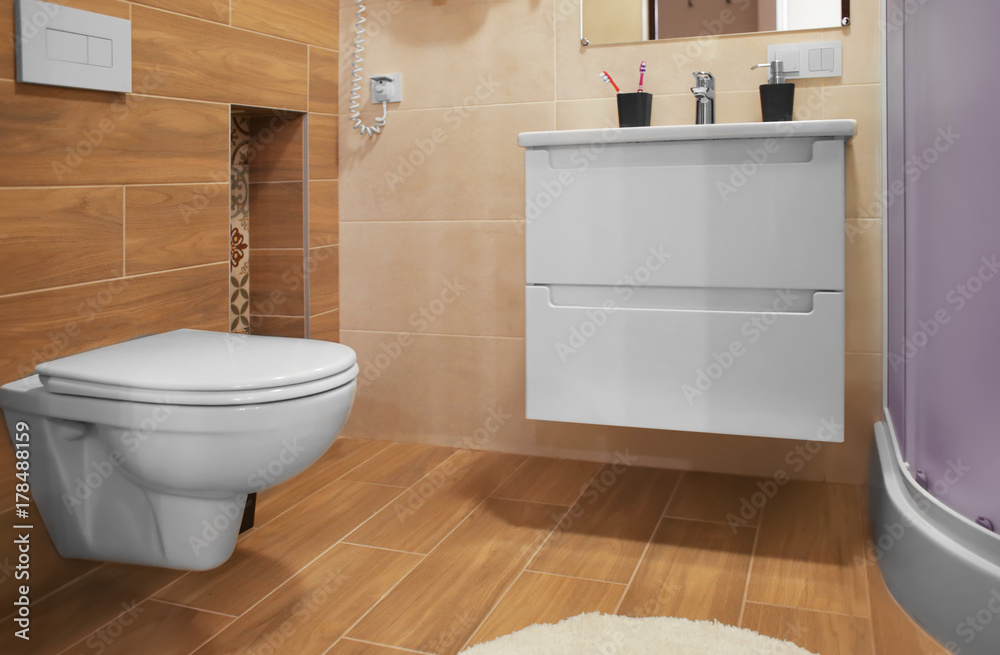 Interior of modern bathroom with toilet and sink