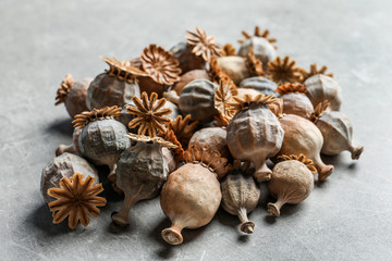 Poster - Dried poppy heads on grey background