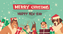 Dogs In Santa Hats On Merry Christmas And Happy New Year Greeting Card Holiday Poster Design Flat Vector Illustration