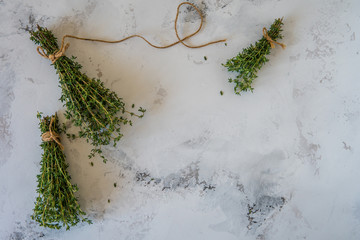 Wall Mural - Thyme on a white background. A bunch of fresh thyme