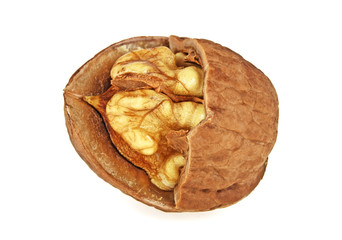 Wall Mural - Closeup of a walnut isolated on a white background