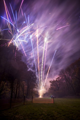 Firework display with purple blue and pink colours in a parkland scene , rilla mill, cornwall, uk