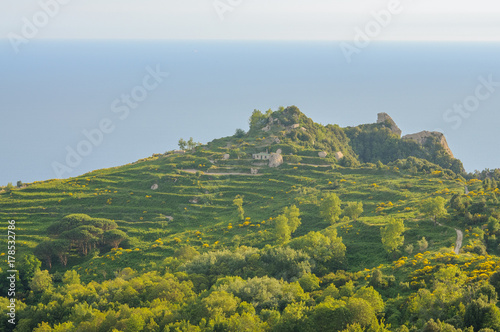 Fotomural Aerial scenic view, Ischia Island, Italy