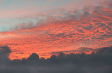 Beautiful fluffy clouds