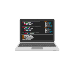 Poster - Programming and coding. Website development on laptop. Vector illustration
