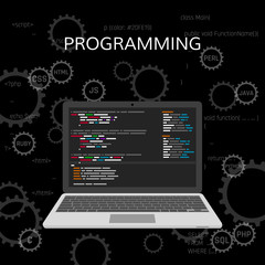 Poster - Programming and coding. Web development concept. vector