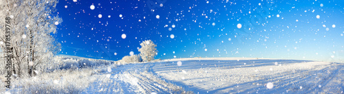rural winter landscape a panorama with the blue sky, a field and the forest