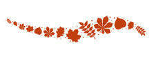 Hand Drawn Orange Leaves Isolated On White Background - Banner. Vector.