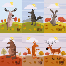 Forest Animals Set Of Posters, With Elements Of Forest, Moose, Deer, Wolf, Hare, Fox, Bear, Cartoon Style, Banner, Poster, Vector, Illustration