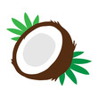 Coconut vector illustration drawing, coconut cut in half with green palm leaves isolated on white background.