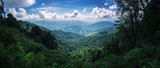 Fototapeta Fototapeta las, drzewa - mountain forest on the Doi Phuka lush green tropical forest covered in low cloud during rainy monsoon season in Nan Province, Thailand