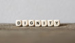Word DIGNITY made with wood building blocks