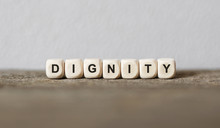 Word DIGNITY Made With Wood Building Blocks