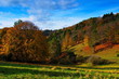 Landschaft im Herbst mit Wiesen und bunten Bäumen in idyllischer Natur in der Eifel