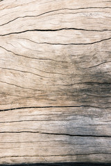 Canvas Print - Texture old wood , dirty surface wood background, hardwood