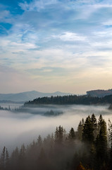  Foggy morning in the Ukrainian Carpathian Mountains in the autumn season