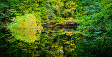 Beautiful Autumn Colored Trees Reflected In A Small Forest Pond