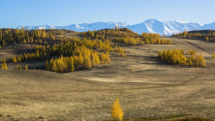 Sticker - Snow Mountain, Altai mountains, Chuya ridge, Russia.