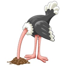 Ostrich Head In Sand Proverb Cartoon Character 
