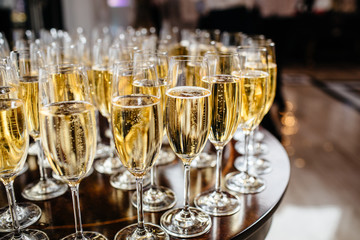 Wall Mural -  Elegant glasses with champagne standing in a row on serving table during party or celebration