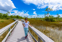 Mahogany Hammock Trail Of The Everglades National Park. Boardwalks In The Swamp. Florida, USA.