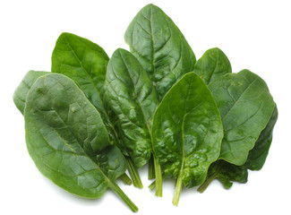 spinach leaves isolate on white background top view