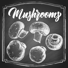 Botanical Mushrooms Hand Drawn Monochrome Etching Set Isolated On Black Chalkboard Vintage Background. Vintage Vector Illustration.