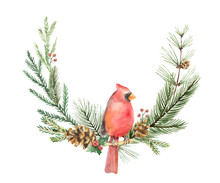 Watercolor Vector Christmas Wreath With Bird Cardinal And Fir Branches.
