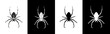 Set of spider insect vector illustration