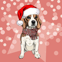 Vector Portrait Of Beagle Dog Wearing Santa Hat And Scarf. Isolated On Star And Sparklers Bokeh. Skecthed Color Illustraion. Christmas, Xmas, New Year. Party Decoration, Promotion, Greeting Card