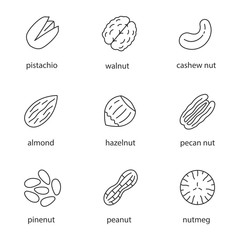 Sticker - Nuts types linear icons set