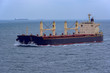 © Igor Groshev - Front view of bulk carrier vessel.