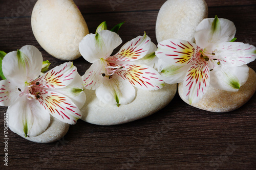 Zdjęcie XXL Trzy białe kwiaty alstromeria leżą na kamieniach do masażu