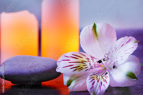 Plakat Kwiat alstroemeria leży na kamieniach do masażu przy zapalonych świecach