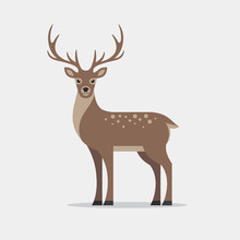 Deer Illustration In Flat Style.