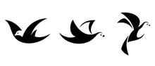 Vector Set Of Three Black Silhouettes Of Flying Birds Isolated On A White Background.