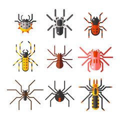 Wall Mural - Spider web silhouette arachnid fear graphic flat scary animal design nature insect danger horror halloween vector icon.