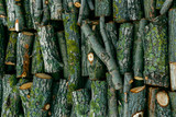 Fototapeta Krajobraz - firewood texture