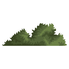 Bush plant isolated icon vector illustration graphic design