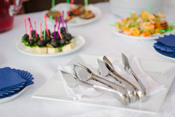 catering service equipment - metal tongs