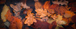 canvas print picture - Herbst Laub autumn