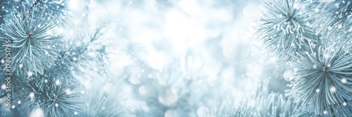 Fototapeta Fir branch background