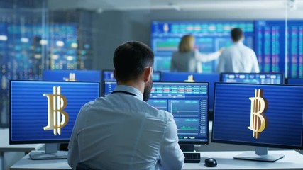 Fototapete - Back View of the Stock Trader Working in Cryptocurrency Exchange Department. Screens Show Relevend Data, Graphs and Ticker Numbers, Other People Work in the Office. 