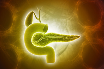 Wall Mural - 3d rendered pancreas isolated on a color background